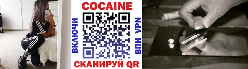 COCAIN Fish Scale закладка Болотное