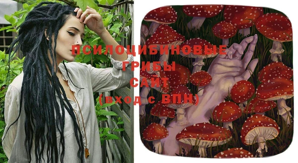 скорость Баксан