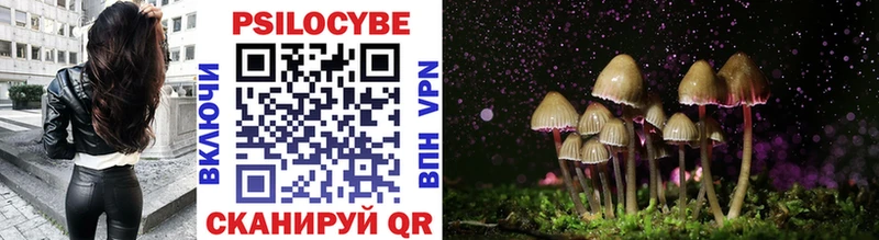 Псилоцибиновые грибы GOLDEN TEACHER  Болотное 